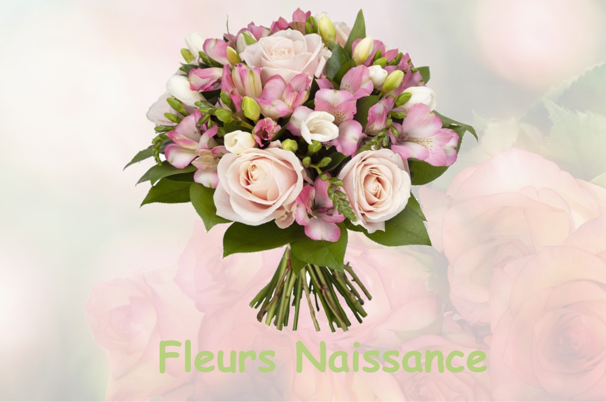 fleurs naissance MAISONCELLE-SAINT-PIERRE